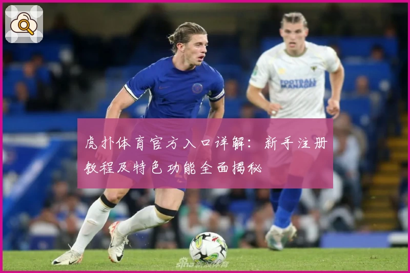虎扑体育官方入口详解:新手注册教程及特色功能全面揭秘